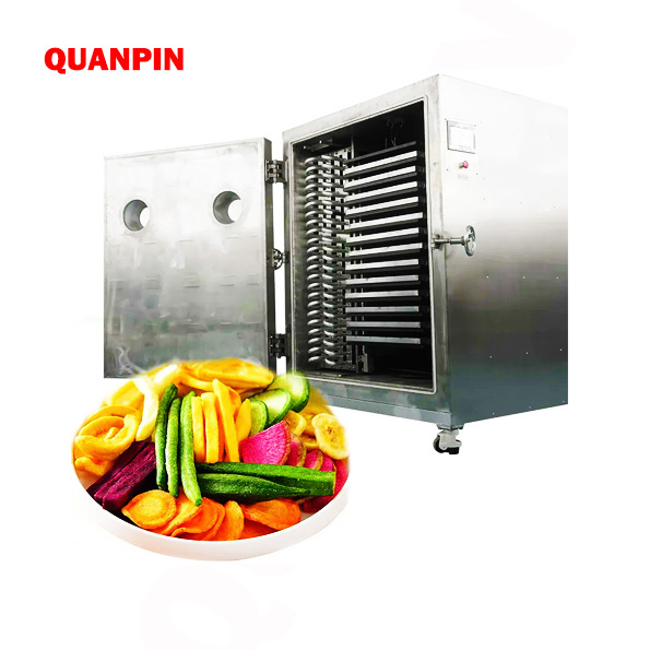FD Series Vacuum Freeze Dryer(Lyophilizer )