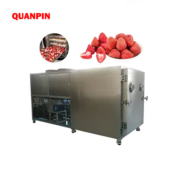 FD Series Vacuum Freeze Dryer(Lyophilizer )1